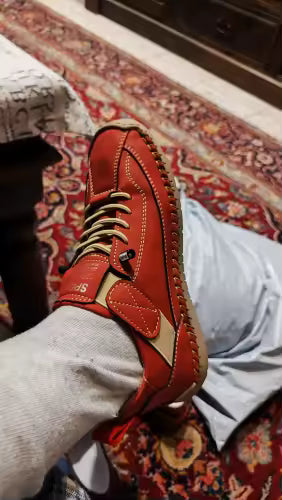 <h2>Nuestros clientes opinan (4.8/5):</h2>